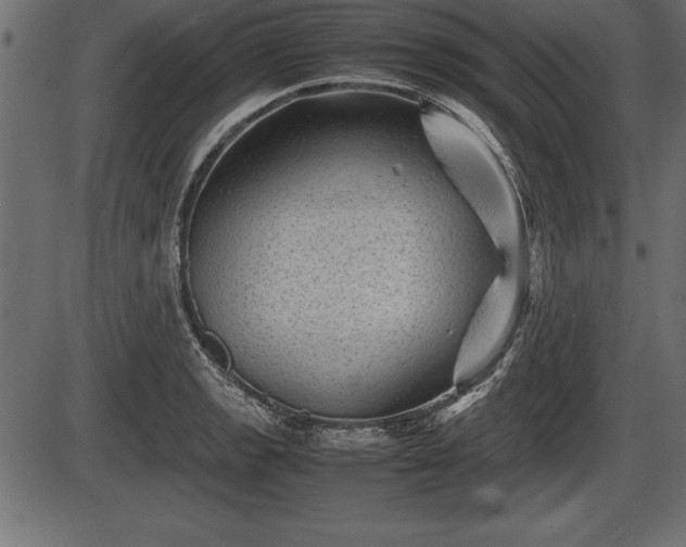 X0000086291133200704090949