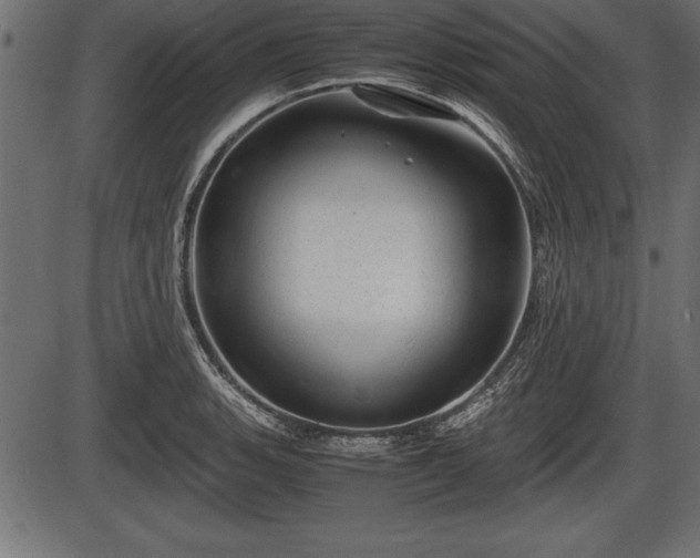 X0000086291135200704090949