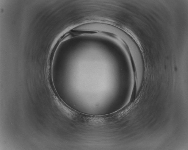 X0000086291136200704090949