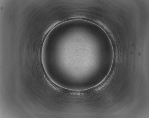 X0000086291137200704090949