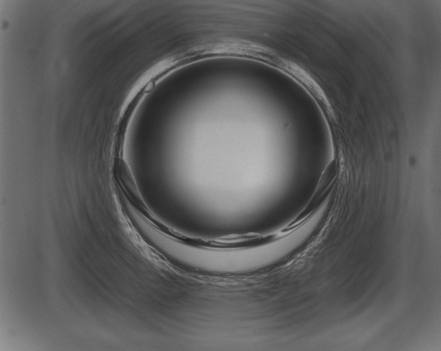 X0000086291138200704090949