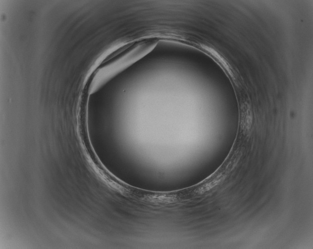 X0000086291139200704090949