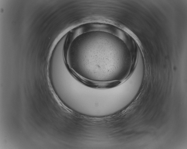 X0000086291144200704090949
