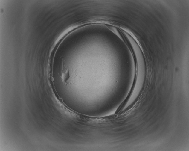 X0000086291147200704090949