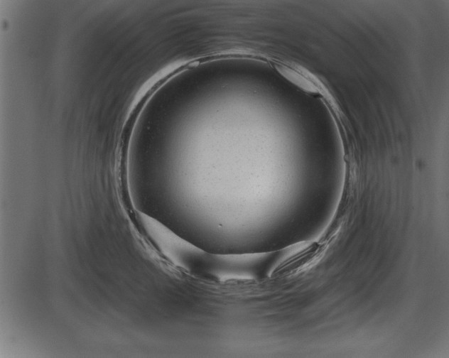 X0000086291149200704090949
