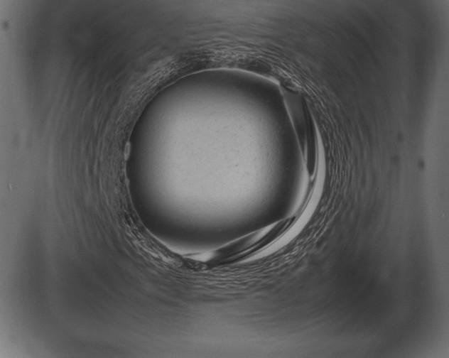 X0000086291153200704090948