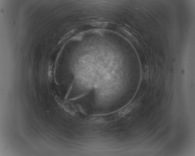X0000086291154200704090948
