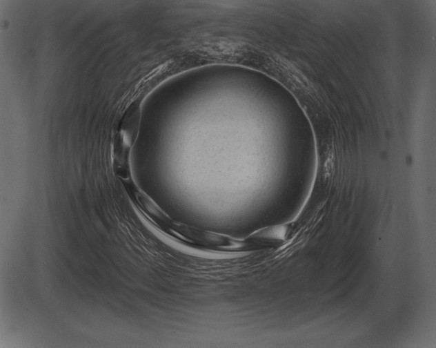 X0000086291156200704090948