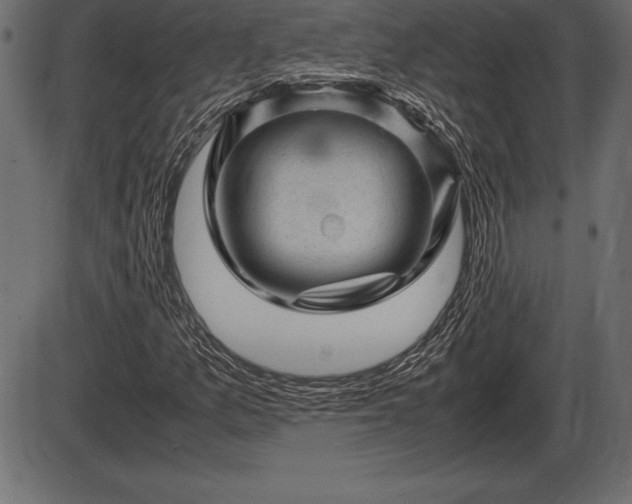 X0000086291157200704090948