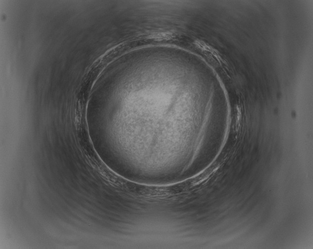 X0000086291158200704090948