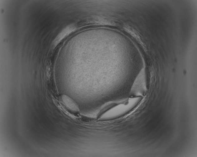 X0000086291163200704090948