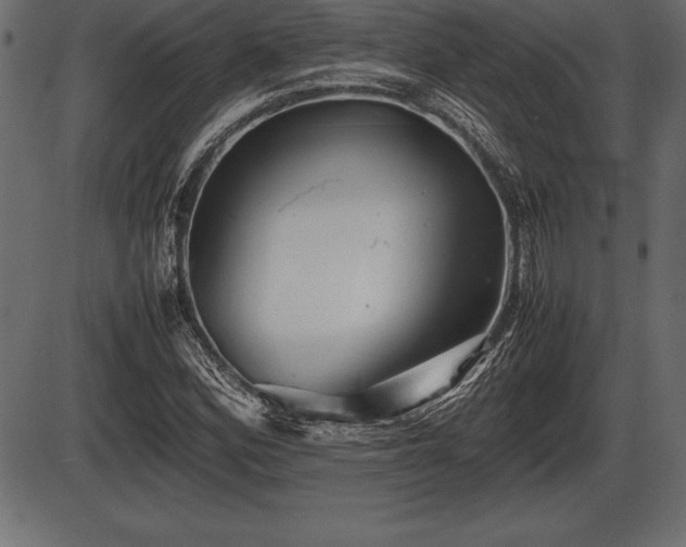 X0000086291164200704090948