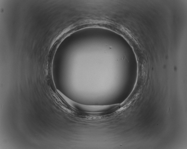 X0000086291165200704090948