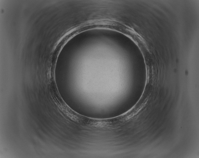 X0000086291166200704090948