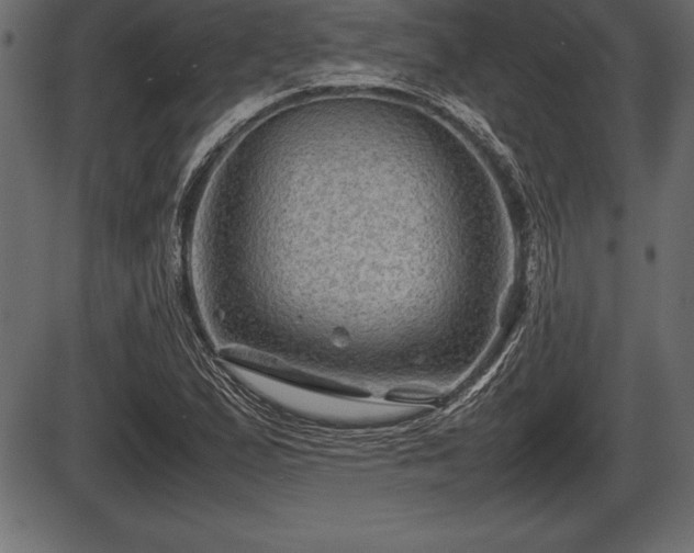 X0000086291167200704090948