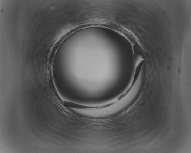 X0000086291168200704090948