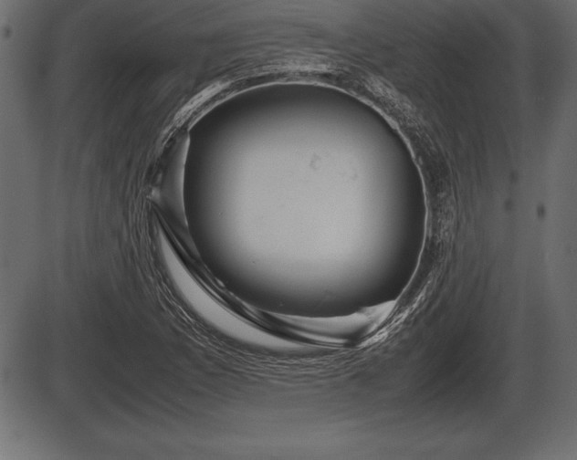 X0000086291169200704090948