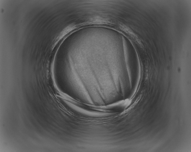 X0000086291170200704090948