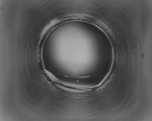 X0000086291172200704090948