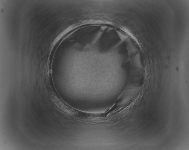 X0000086291173200704090948