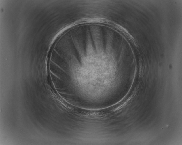 X0000086291174200704090948