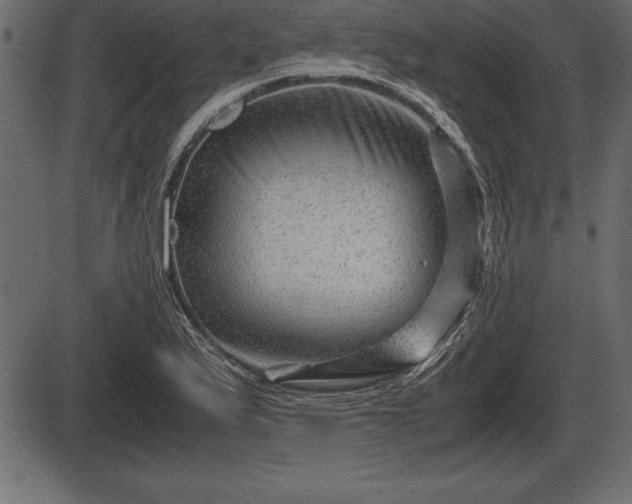 X0000086291175200704090948