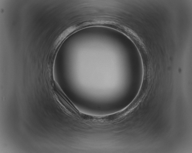 X0000086291177200704090948