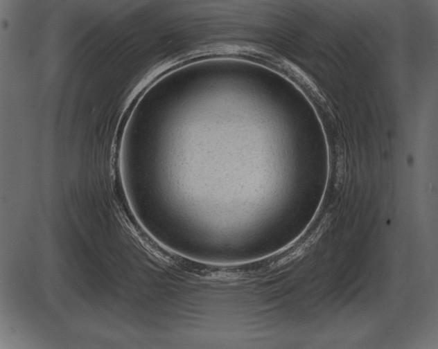 X0000086291178200704090948