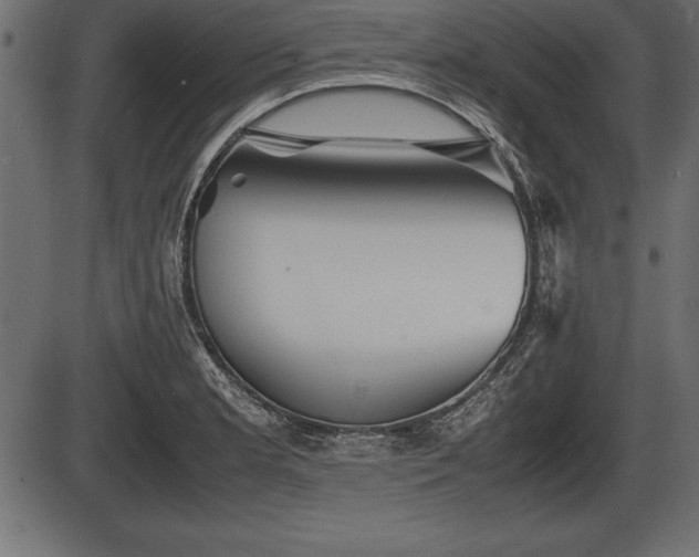 X0000086291181200704090948