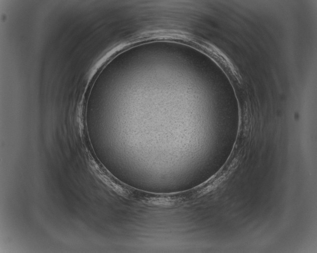 X0000086291182200704090948