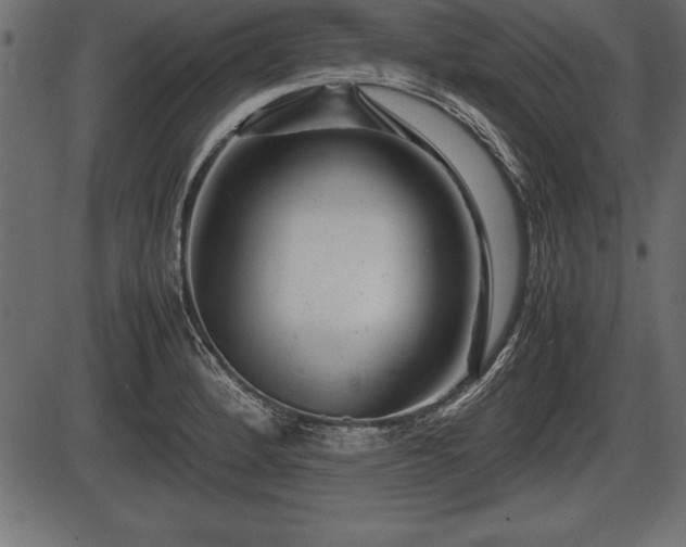 X0000086291184200704090948