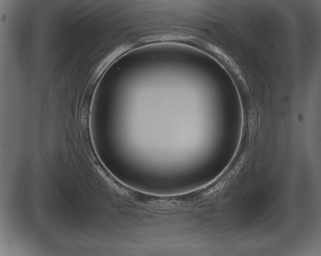 X0000086291185200704090948
