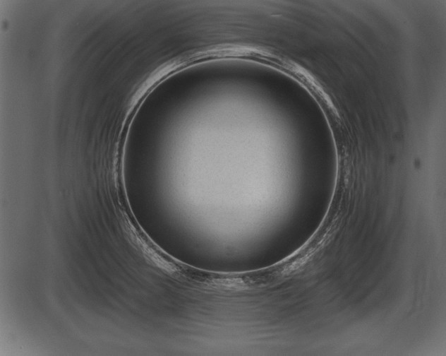 X0000086291186200704090948