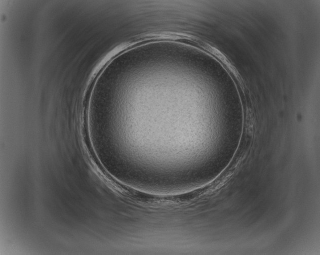 X0000086291187200704090948
