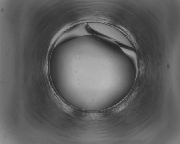 X0000086291188200704090948