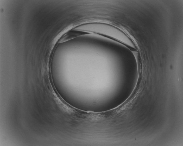 X0000086291189200704090948