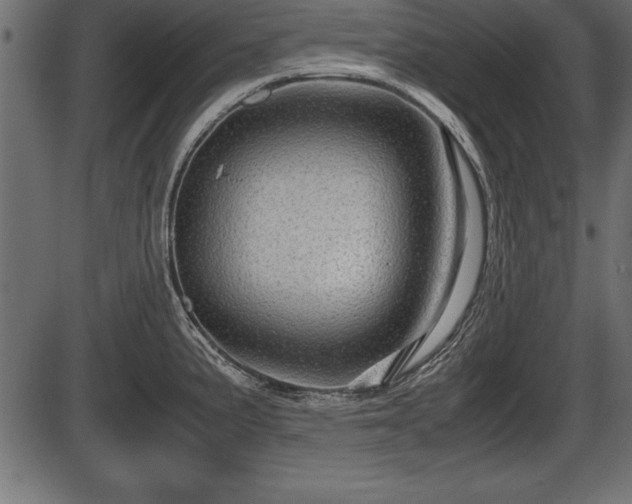X0000086291191200704090947