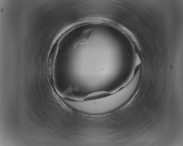 X0000086291192200704090947