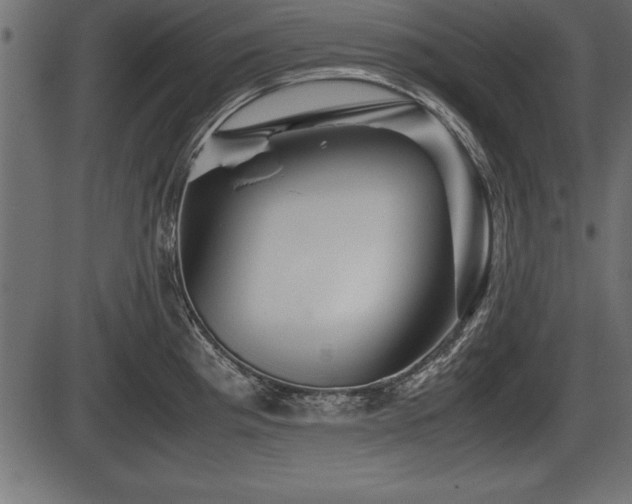X0000086291193200704090947