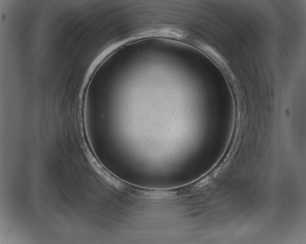 X0000086291200200704090947