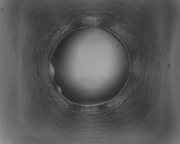 X0000086291201200704090947