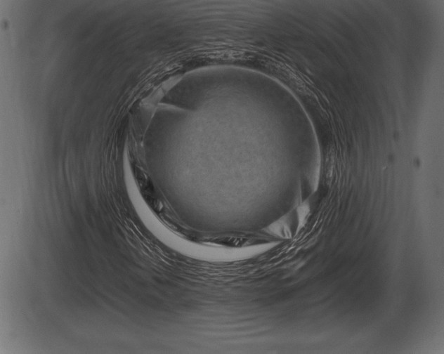 X0000086291202200704090947