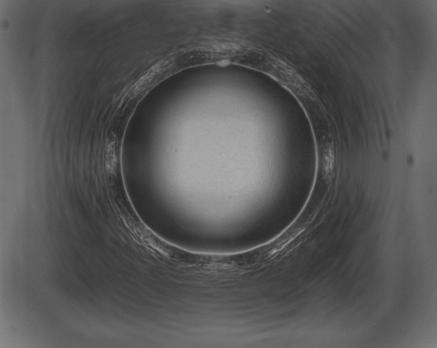 X0000086291204200704090947