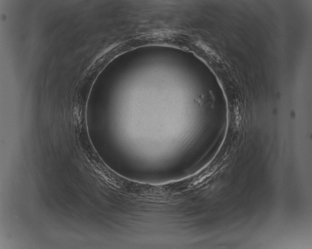 X0000086291206200704090947