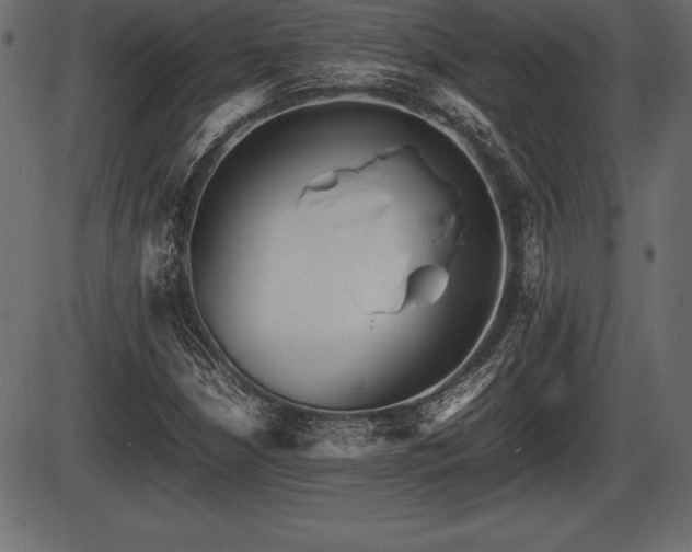 X0000086291210200704090947