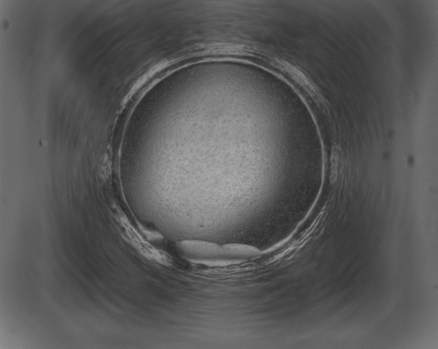 X0000086291212200704090947