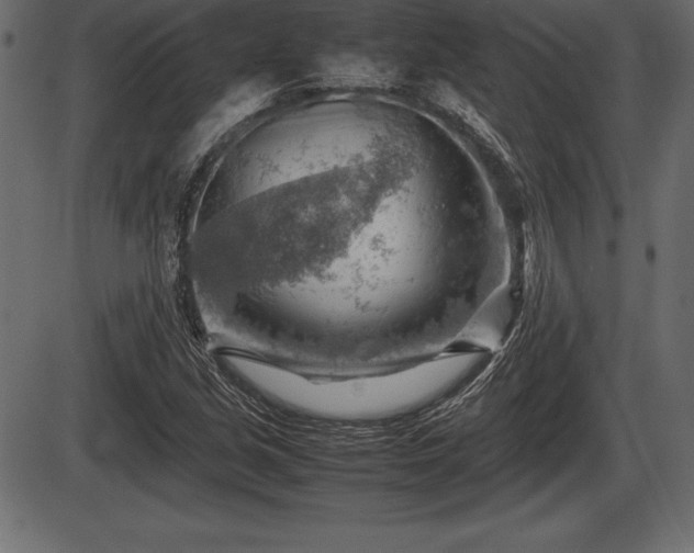 X0000086291213200704090947