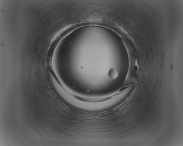 X0000086291214200704090947