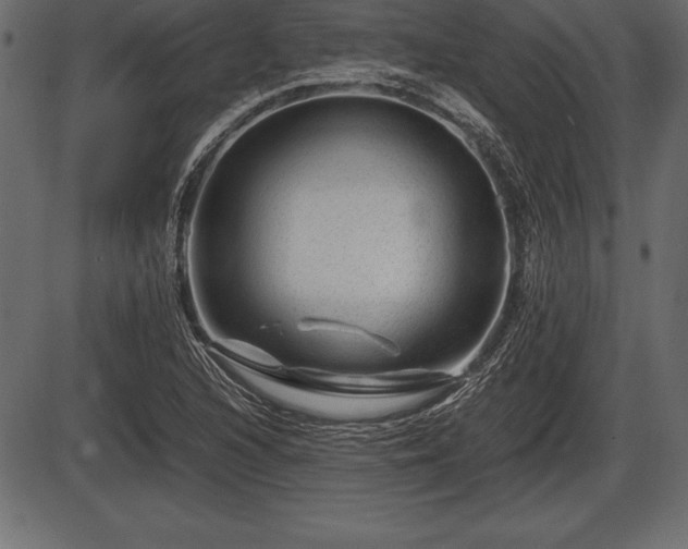 X0000086291216200704090947