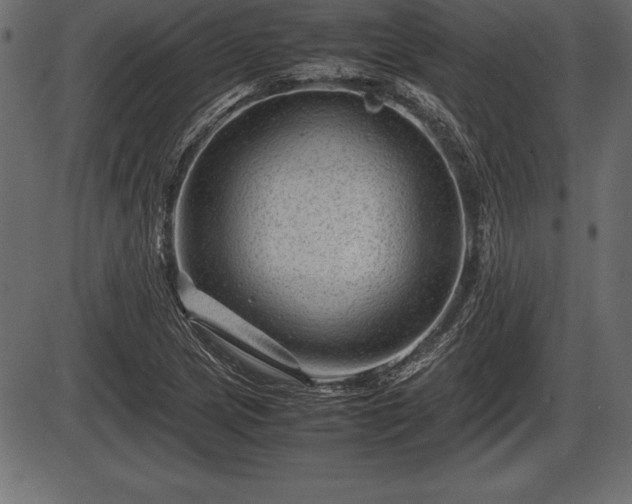 X0000086291217200704090947